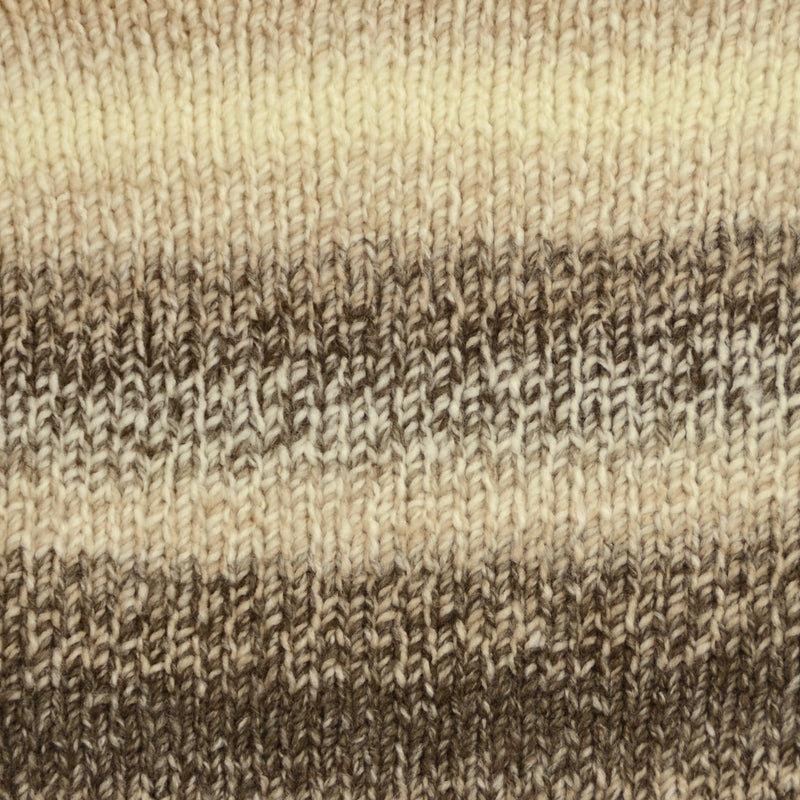 Premier Yarns Puzzle 1050-03 Crossword Acrylic